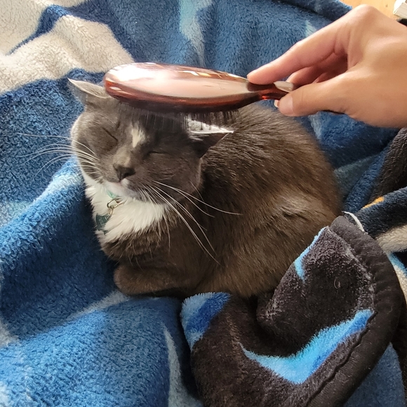 Meet your Posher, Lauren - Picture 5 of 6